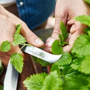 Wüsthof Brotmesser Urban Farmer 11